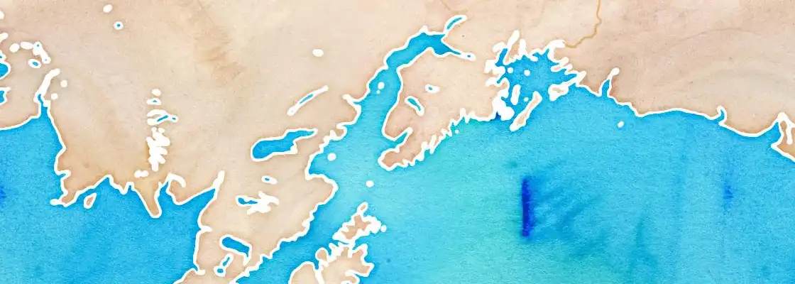 Map of Homer port area