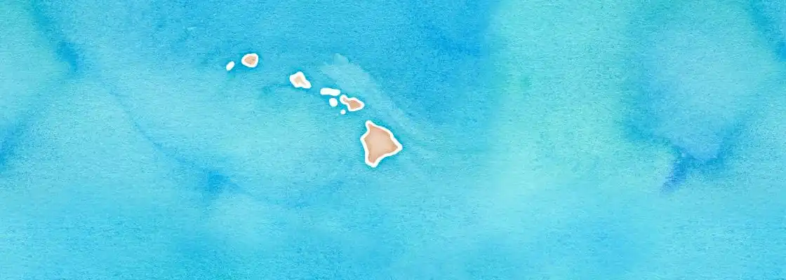 Map of Hilo port area