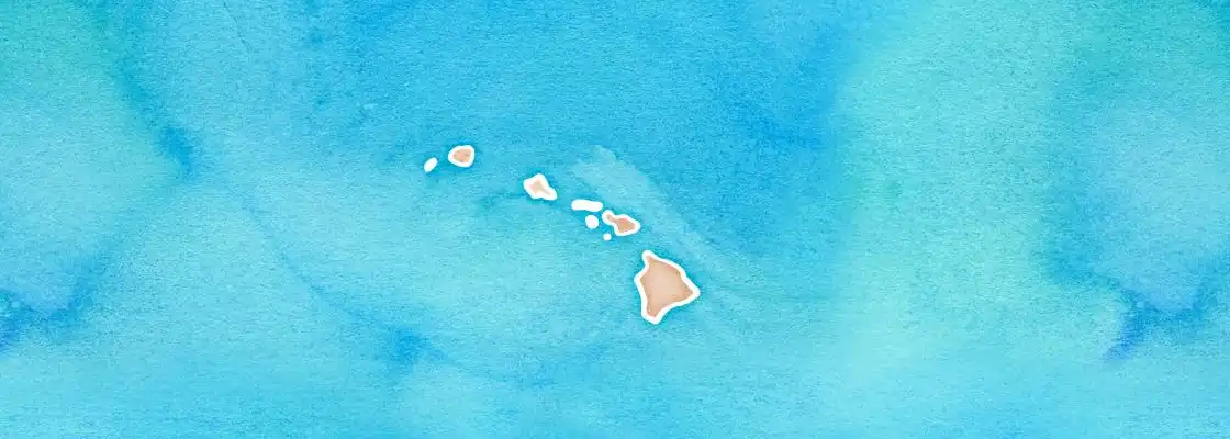 Map of Maui port area