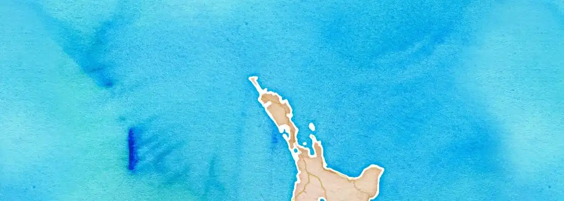 Map of Bay of Islands port area