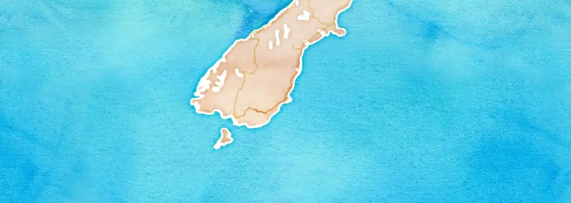 Map of Dunedin port area