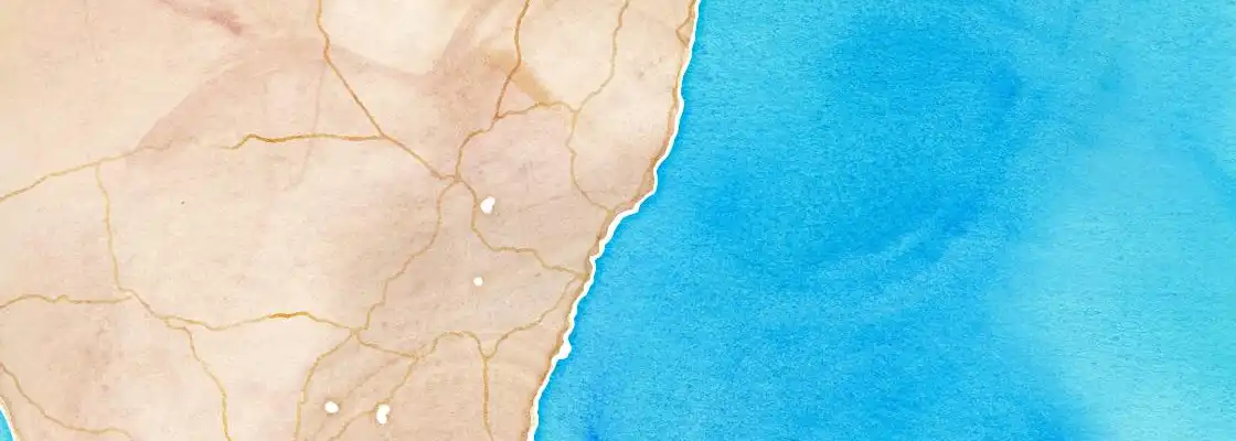 Map of Newcastle port area